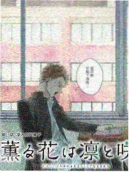 恋恋影视藏品旧物交换局生活综艺标本封面